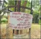  ??  ?? The neem tree planted in Aarushi’s name at Jalvayu Vihar, Noida.