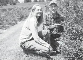  ?? SUSAN MCIVER/Special to The Herald ?? Doreen Yurkin and Albert Weaver, above, produce hay, livestock and Saskatoon berries on their Meadow Valley ranch. This year, they are selling the berries on a U-Pick basis. Yurkin says the berries are ripe now. Please bring your own containers and picking buckets.
