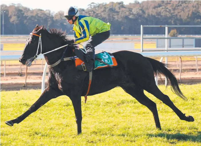  ?? Picture: MARK SCOTT ?? Super mare Lucia Valentina wins a barrier trial at Wyong in preparatio­n for her return to racing in the Warwick Stakes today.