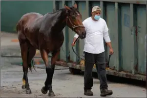  ?? The Associated Press ?? CLOSURES REMAIN: An aide wears a face mask while walking with a horse to a stable after a bath Friday at Pimlico Race Course in Baltimore. Horse racing is in a state of transition at a time usually reserved for Triple Crown season. The Preakness would have been run today in Baltimore. But Pimlico Race Course and many tracks across North America remain dark because of the coronaviru­s pandemic.