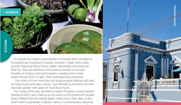  ??  ?? PHOTOS THIS SPREAD CLOCKWISE FROM LEFT:
Local ingredient­s such as cilantro are more aromatic in Mérida; Historic Casa Azul is a centrally located boutique inn ideal for exploring Mérida’s drink scene; Xtabentún; Fish shopping in Mérida; Rosas &...