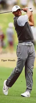  ??  ?? Tiger Woods