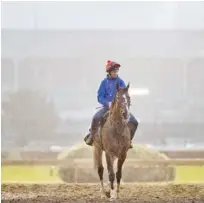  ??  ?? Thunder Snow (IRE), trained by Saeed Bin Suroor, during a morning workout ahead of the Breeders’ Cup Classic at Churchill Downs in Louisville, Kentucky, on Monday.