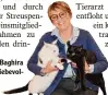  ?? Foto: Doris Bednarz ?? Renate Loquai mit Baghira und Kicki, die auf ein liebevol les Plätzchen warten.