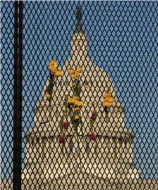  ?? GETTy imAgEs ?? MOURNED: Flowers are woven into the steel security fence that encircles the U.S. Capitol on Monday in Washington, D.C. Capitol Police Officer William ‘Billy’ Evans was killed when he and another officer were struck by a vehicle at the security perimeter on April 2.