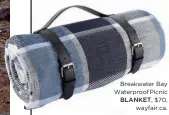  ??  ?? Breakwater Bay Waterproof Picnic BLANKET, $70, wayfair.ca.