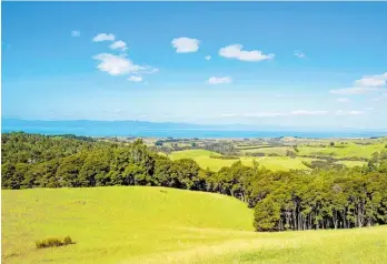  ??  ?? Nesley Park, in Kaiaua, has been in the same hands for more than 50 years.