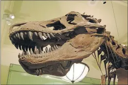  ?? [DREAMSTIME] ?? One of the Tyrannosau­rus Bataar skulls