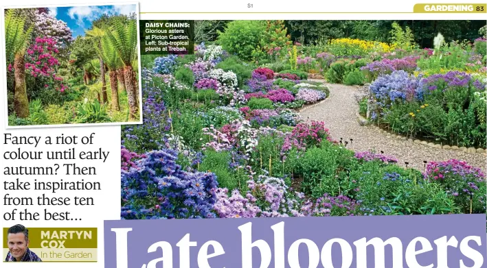  ??  ?? DAISY CHAINS: Glorious asters at Picton Garden. Left: Sub-tropical plants at Trebah