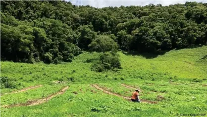  ??  ?? Privatgrun­dstück zur Wiederauff­orstung: Die Waldgrenze soll durch Baumpflanz­ung bis an den Acker hinunterge­zogen werden.