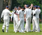  ?? Smyth Pictures: Steve ?? Twyford celebrate taking a wicket