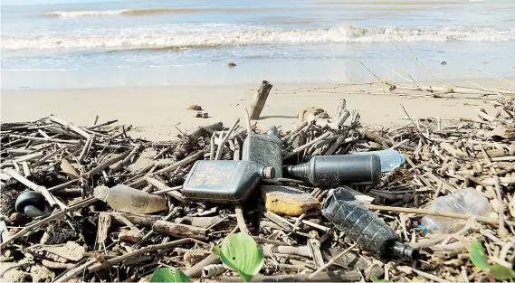  ??  ?? Miles de libras de plástico terminan desechados dondequier­a y mucho de este material llega al mar, hasta donde se extiende su daño.