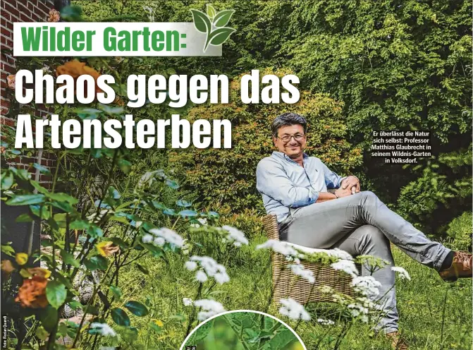  ?? ?? Er überlässt die Natur sich selbst: Professor Matthias Glaubrecht in seinem Wildnis-Garten in Volksdorf.