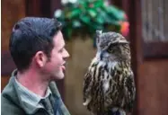  ??  ?? Falconer Tommy Durcan holds Dingle, a European Eagle Owl, at Ireland’s School of Falconry.