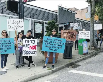  ??  ?? Protests have been held outside Granville Pet and Garden in Vancouver, a retail store that sells cats and dogs.