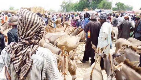  ??  ?? From Hamisu Kabir Matazu, Damaturu Traders transactin­g business in the market