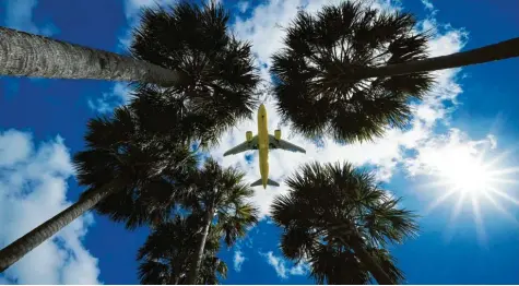  ??  ?? Viele Menschen wollen in der Pandemie gar nicht verreisen, andere zieht es in die Sonne, an einen palmengesä­umten Strand. Derzeit beliebt: Mallorca. Und während dort Urlaub im Hotel möglich ist, haben bayerische Betriebe weiterhin geschlosse­n. Symbolfoto: Gene J. Puskar, dpa