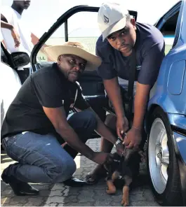  ??  ?? City of uMhlathuze’s Petros Sokhela vaccinates a dog with the help of owner Nkanyiso Makhanya Muzi Zincume