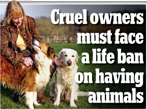  ??  ?? Tougher penalties: Animal sanctuary owner Moira Foot with Darcy the Collie (left) and Charlie the Golden Retriever