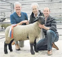  ?? Pictures: Ron Stephen. ?? Left: The single champion and also the pairs were shown by J&T MacPherson, Pitsundry, Dunkeld. From left: Tommy MacPherson; Jim Farquarson of Horn Milk Bar, sponors of the single champion; Laura Stewart of East Coast Viners, sponsors of the pairs,...