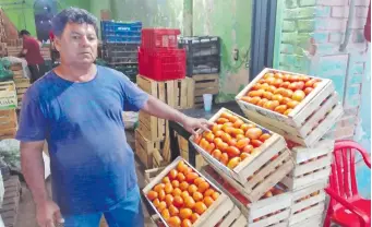  ?? ?? La caja de tomates de 18 kg.