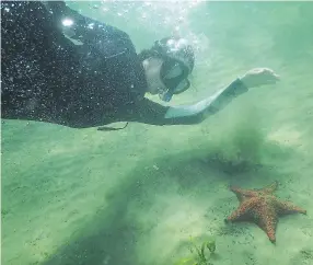  ??  ?? TURISMO. El banco de las estrellas en Trujillo recibe cada vez más turistas, es por eso que buscan conservarl­o.