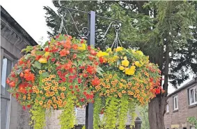  ?? ?? Striking The hanging baskets are particular­ly popular