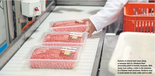  ??  ?? Packets of minced beef move along a conveyor belt at a Bindaree Beef processing plant in Inverell, Australia. With funds from selling a stake in the business to a Chinese meat processor, Bindaree says it could double its daily cattle cull to 2,400.