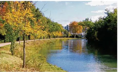 ??  ?? Le canal du Midi, qui a fêté ses 350 ans en 2016, a franchi une nouvelle étape avec le classement de ses paysages à l’Unesco, alors même que le site, dont les platanes sont dévorés par le chancre coloré, est menacé de déclasseme­nt.
