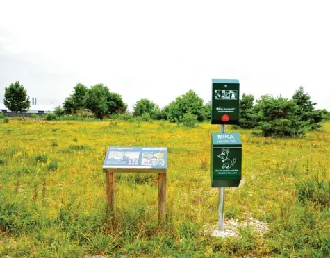  ?? Foto: Bernd Hohlen ?? Seit dem 15. Mai 2020 steht die Flugplatzh­eide in Haunstette­n als geschützte­r Landschaft­sbestandte­il unter Naturschut­z. Das Gebiet beherbergt seltene Tier- und Pflanzenar­ten. Informatio­nstafeln sollen Besucher der Heide für den Wert der Natur und die Einhaltung einiger Regeln sensibilis­ieren.