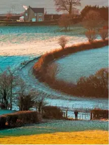  ??  ?? Homeward bound through fields dusted in frost.
Sarah Ryan grew up in the Scottish Borders, climbing trees and poring over wildlife books. She still makes time daily to get out into the woods nearby and now runs mindful camping retreats at www.thewildwal­khome.com. Inspiratio­n comes from Roger Deakin, Nan Shepherd and Kathleen Raine, and the birds that come crying in at dusk.