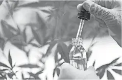  ?? GETTY IMAGES ?? A vial and dropper of cannabidio­l oil in front of a hemp plant.