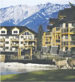  ?? Supplied ?? Bighorn Meadows Resort is situated on the prestigiou­s Springs Golf Course in Radium Hot Springs, B.C.