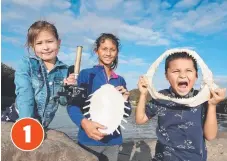  ?? Picture: RICHARD GOSLING ?? A Marine Biology Field Day is a chance to dig for turtle nests and learn about wildlife; Anastasia Paramonov, Maia Audley and Lucas Audley.