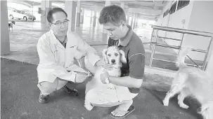  ??  ?? PENCEGAHAN: Dr Adrian menyuntik seekor anjing semasa program pemvaksina­n antirabies di Dewan Masyarakat MBKS, semalam.