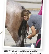  ??  ?? STEP 7: Work conditione­r into the mane and tail and leave in for several minutes before rinsing.