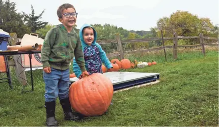  ?? PHOTOS BY REBEKAH TUCHSCHERE­R / ARGUS LEADER ?? Cade Kroger, 3, and Kate Kroger, 2, of Harrisburg, S.D., pose for a photograph with their pumpkin. While small, their mighty pumpkin weighed in at 55 pounds.