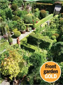  ??  ?? Talking point: Rosemary Fletcher’s garden in Dunstable is ‘always a source of conversati­on with passers-by’, she says Front garden GOLD