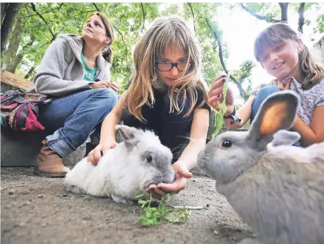  ?? FOTO: BLAZY ?? Kinder lieben den Abenteuers­pielplatz in Hilden. Dort kann man Kaninchen und Ponys streicheln, Buden bauen und frei spielen. .