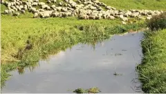  ?? FOTO: WILHELM SLODCZYK ?? Wasser, hier bei Donndorf, ist kostbares Allgemeing­ut.