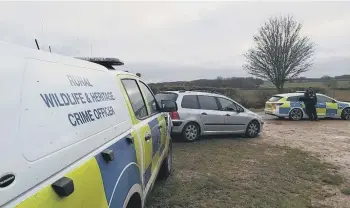  ?? ?? Seven police forces including Cambridges­hire Constabula­ry have combined borders to help tackle hare coursing