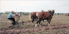  ?? SPECIAL TO THE WELLAND TRIBUNE ?? Action from a recent Niagara South Plowmen’s Associatio­n event that has taken place for the past 150 years but has been cancelled in 2018.