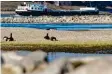  ?? Foto: Uli Deck, dpa ?? Sandbänke ragen aus dem Rhein bei Karlsruhe hervor.