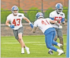  ?? Bill Kostroun (2) ?? M&M BOYS: Micah McFadden (43), a fifth-round draft pick by the Giants this year, has a similar profile to fellow linebacker Blake Martinez, who was signed as a free agent after starting his career with the Packers.