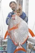  ?? Picture: AP ?? BIG CATCH: This moonfish, also known as opah, was caught near Alaska.