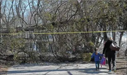  ?? PETE BANNAN — DIGITAL FIRST MEDIA ?? Two people pass under a fallen tree on the 300 block of Pennsylvan­ia Avenue in Wayne Monday morning.