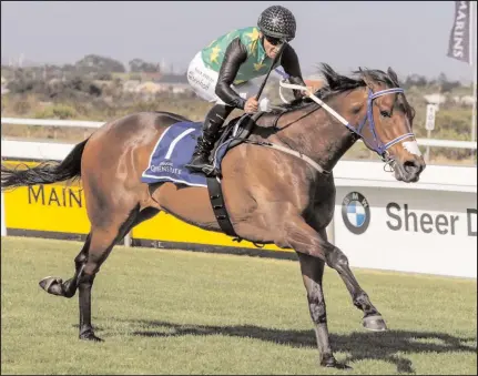  ??  ?? LEGAL EAGLE is sound and fresh, says trainer Sean Tarry. And he is certainly not past his best.Picture: Liesl King