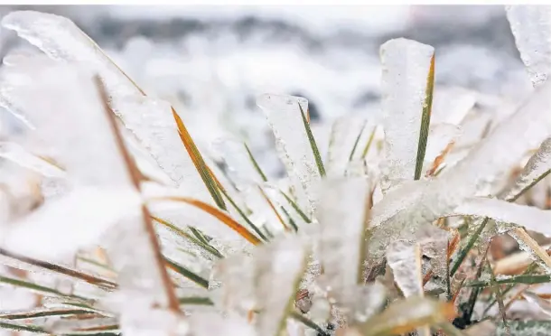  ?? FOTO: MATTHIAS BEIN/DPA ?? Vielerorts wird es frostig.