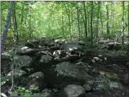  ?? SUBMITTED PHOTO - NATURAL LANDS ?? A stream runs through the Crow’s Nest Preserve property, owned by Natural Lands, in Warwick.