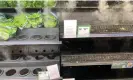  ?? Photograph: Darren England/AAP ?? Empty lettuce shelves are seen at Camp Hill Woolworths supermarke­t in Brisbane.